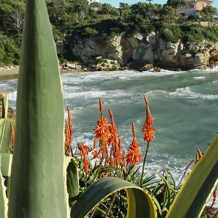Apartment Cala Crancs Cap *